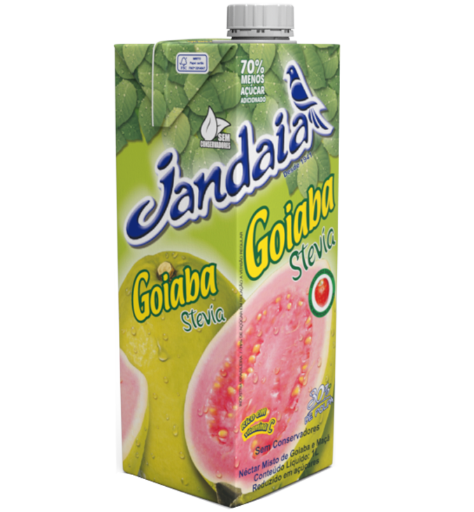 25012  NECTAR MISTO GOIABA MACA JANDAIA 12X1000