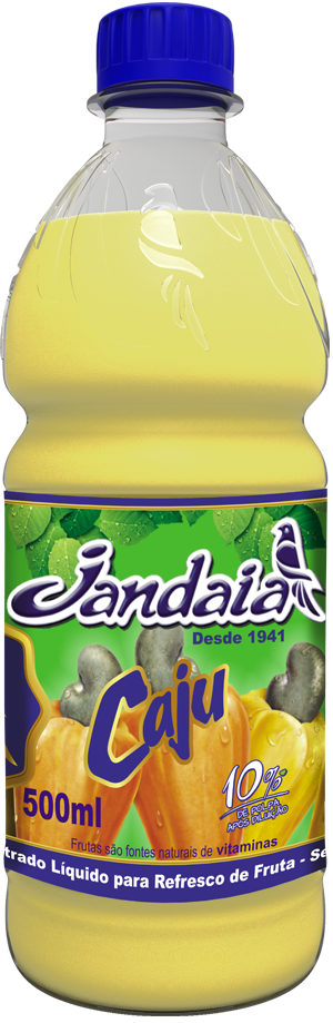 CONCENTRADO LIQUIDO DE CAJU 12X500ML