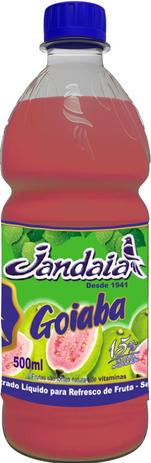 CONCENTRADO LIQUIDO DE GOIABA 12X500ML